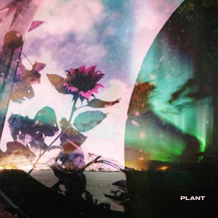 Atomic Love Disorder – Plant